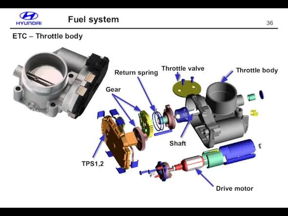 Fuel system ETC – Throttle body