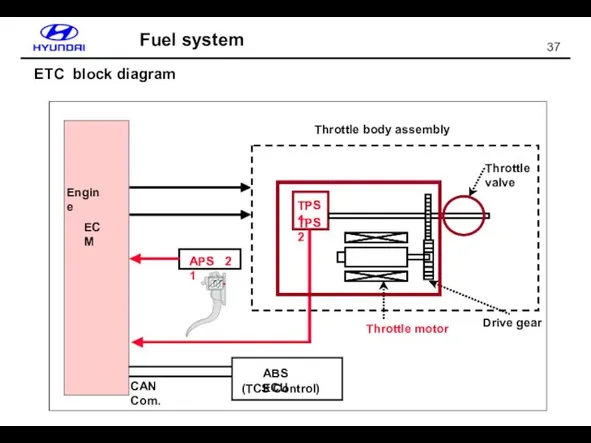 Fuel system ETC block diagram