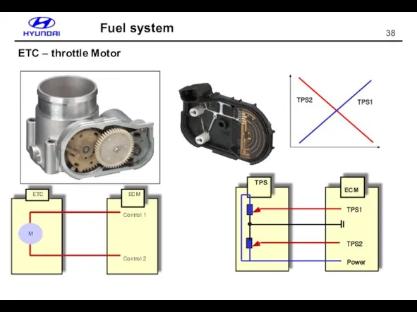 Fuel system ETC – throttle Motor
