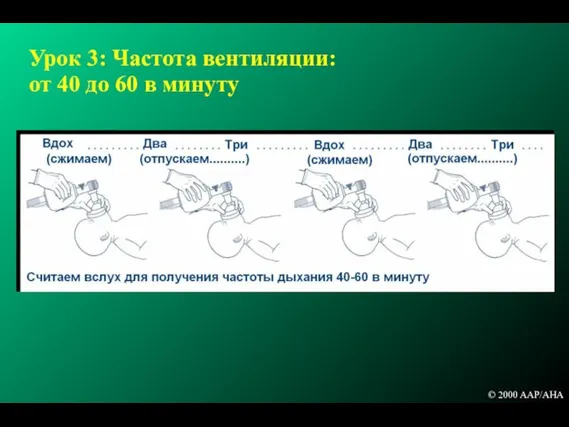 Урок 3: Частота вентиляции: от 40 до 60 в минуту © 2000 AAP/AHA