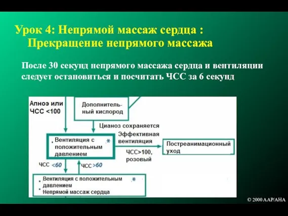 Урок 4: Непрямой массаж сердца : Прекращение непрямого массажа После 30 секунд