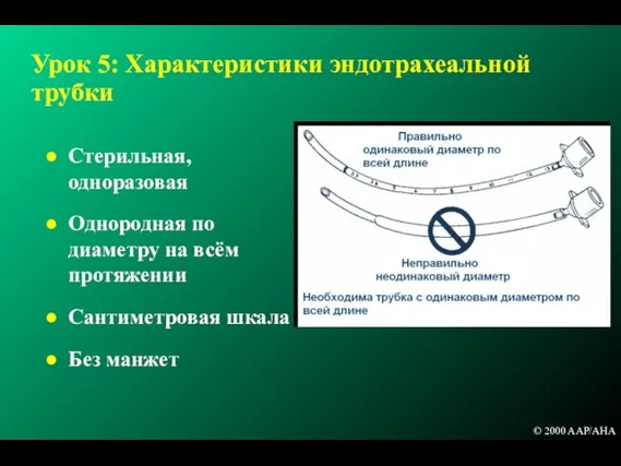 Урок 5: Характеристики эндотрахеальной трубки Стерильная, одноразовая Однородная по диаметру на всём