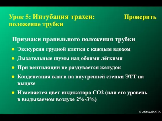 Урок 5: Интубация трахеи: Проверить положение трубки Признаки правильного положения трубки Экскурсия