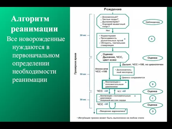 Алгоритм реанимации Все новорожденные нуждаются в первоначальном определении необходимости реанимации