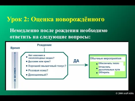 Урок 2: Оценка новорождённого Немедленно после рождения необходимо ответить на следующие вопросы: © 2000 AAP/AHA