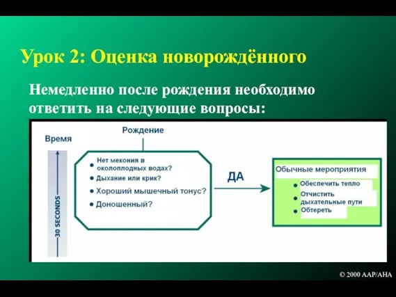 Урок 2: Оценка новорождённого Немедленно после рождения необходимо ответить на следующие вопросы: © 2000 AAP/AHA