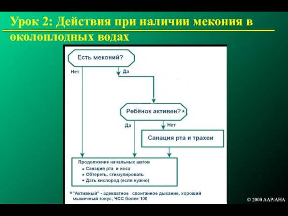 © 2000 AAP/AHA Урок 2: Действия при наличии мекония в околоплодных водах