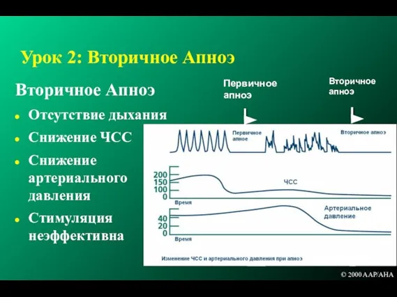 Урок 2: Вторичное Апноэ Вторичное Апноэ Отсутствие дыхания Снижение ЧСС Снижение артериального