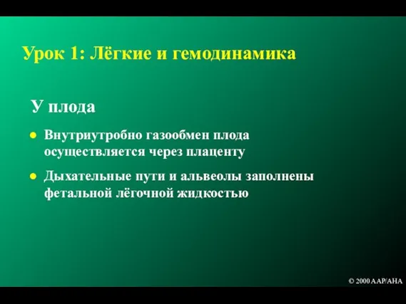 У плода Внутриутробно газообмен плода осуществляется через плаценту Дыхательные пути и альвеолы