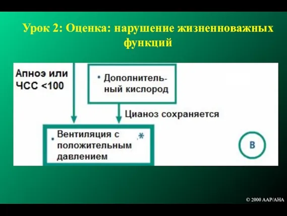 Урок 2: Оценка: нарушение жизненноважных функций © 2000 AAP/AHA