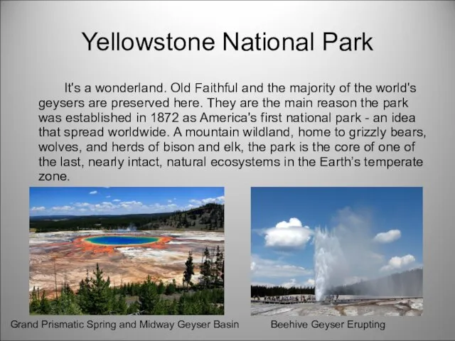 Yellowstone National Park It's a wonderland. Old Faithful and the majority of