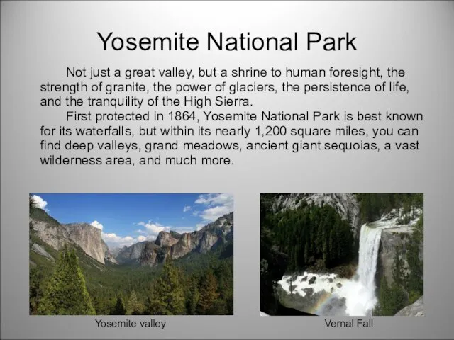 Yosemite National Park Not just a great valley, but a shrine to