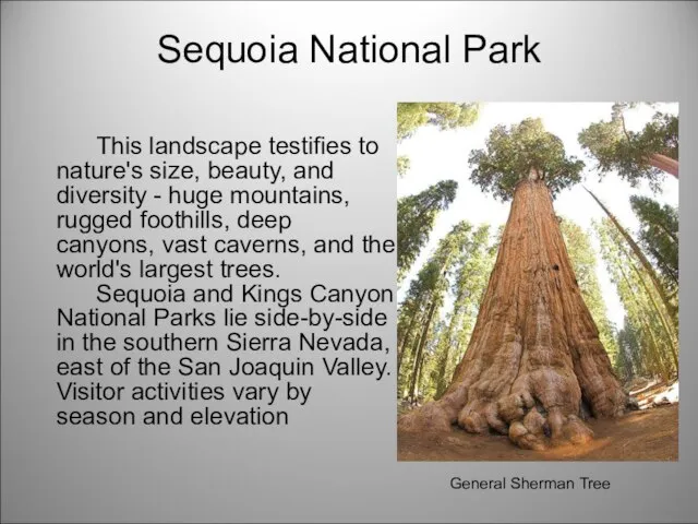 Sequoia National Park This landscape testifies to nature's size, beauty, and diversity