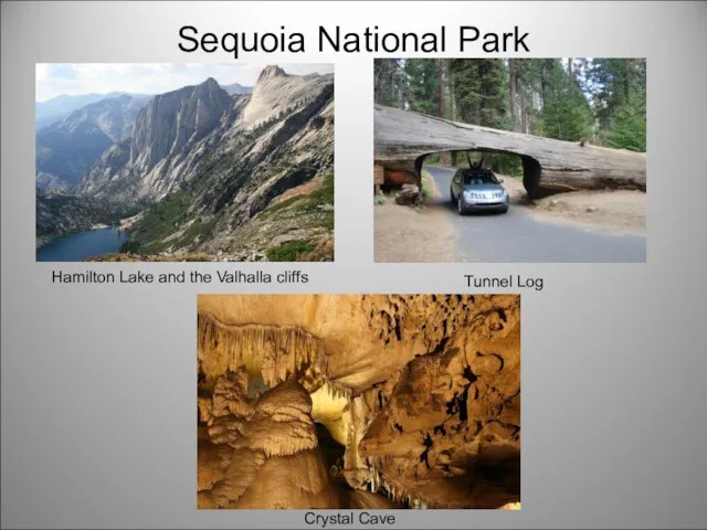 Sequoia National Park Crystal Cave Hamilton Lake and the Valhalla cliffs Tunnel Log