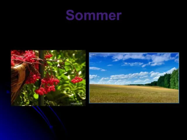 Sommer