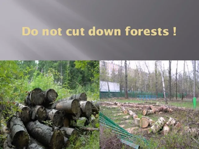 Do not cut down forests !