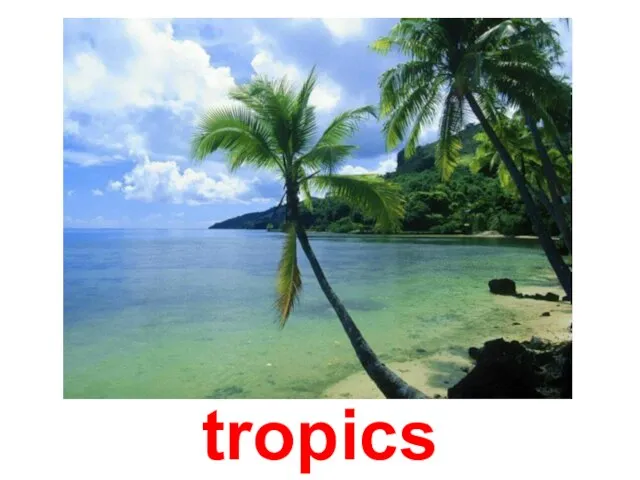 tropics