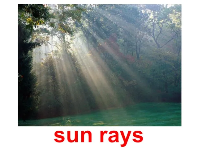 sun rays