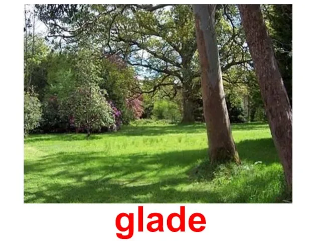 glade