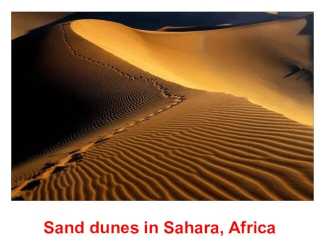 Sand dunes in Sahara, Africa