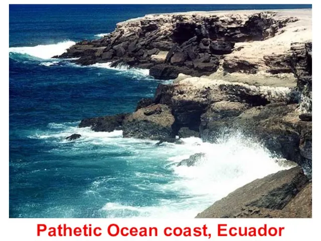 Pathetic Ocean coast, Ecuador