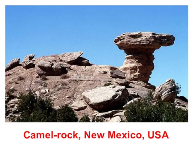 Camel-rock, New Mexico, USA