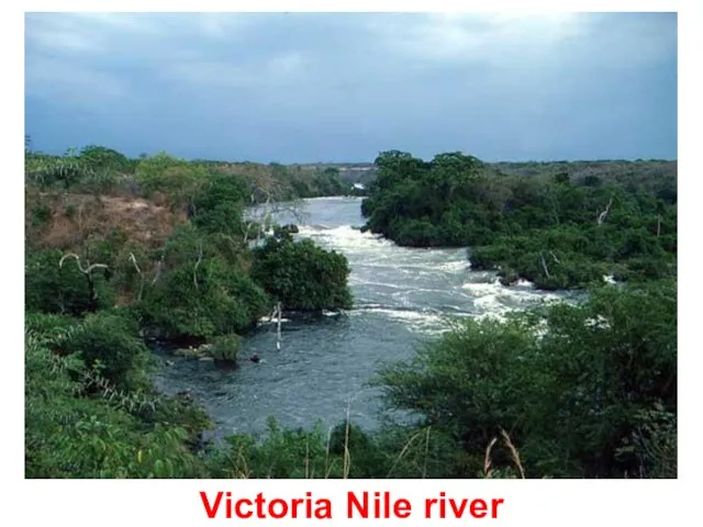 Victoria Nile river