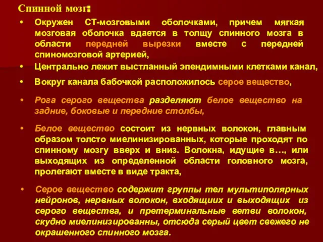 Спинной мозг: Окружен СТ-мозговыми оболочками, причем мягкая мозговая оболочка вдается в толщу