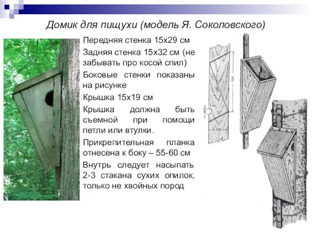 Домик для пищухи (модель Я. Соколовского) Передняя стенка 15х29 см Задняя стенка