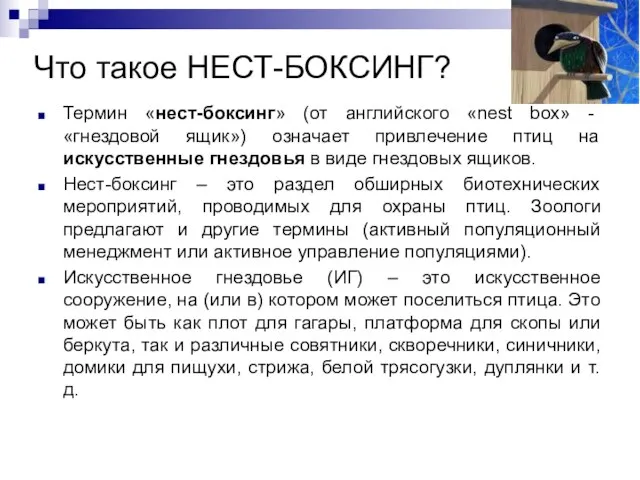 Что такое НЕСТ-БОКСИНГ? Термин «нест-боксинг» (от английского «nest box» - «гнездовой ящик»)