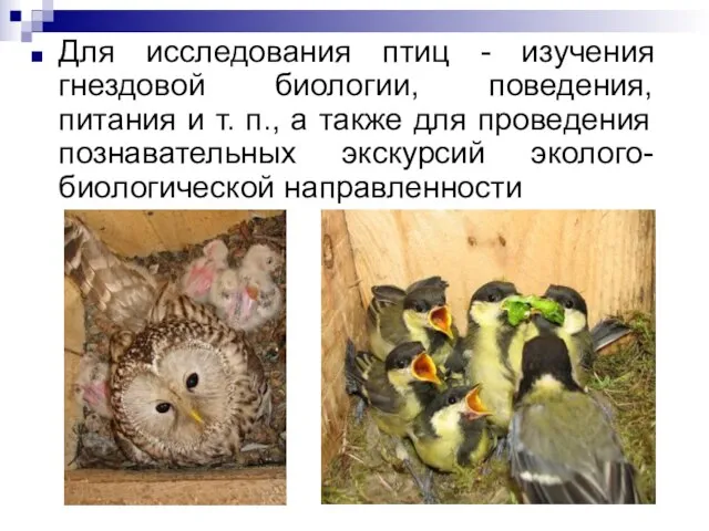 Для исследования птиц - изучения гнездовой биологии, поведения, питания и т. п.,