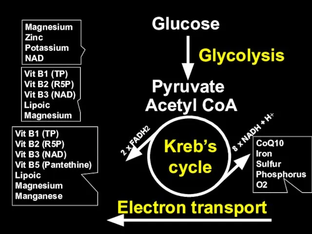 Magnesium Zinc Potassium NAD Glycolysis Kreb’s cycle Electron transport Glucose Pyruvate 8