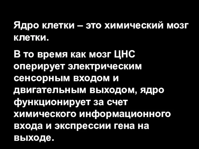 Ядро клетки – это химический мозг клетки. В то время как мозг