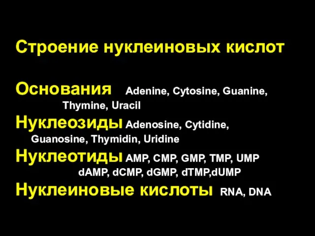 Строение нуклеиновых кислот Основания Adenine, Cytosine, Guanine, Thymine, Uracil Нуклеозиды Adenosine, Cytidine,