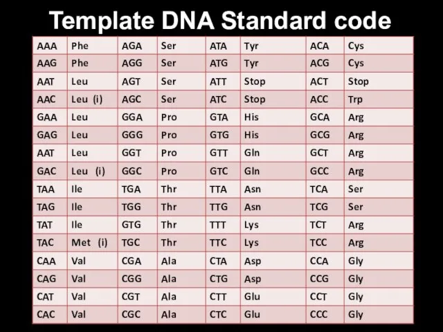 Template DNA Standard code