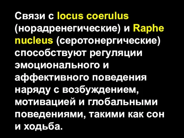 Связи с locus coerulus (норадренегические) и Raphe nucleus (серотонергические) способствуют регуляции эмоционального