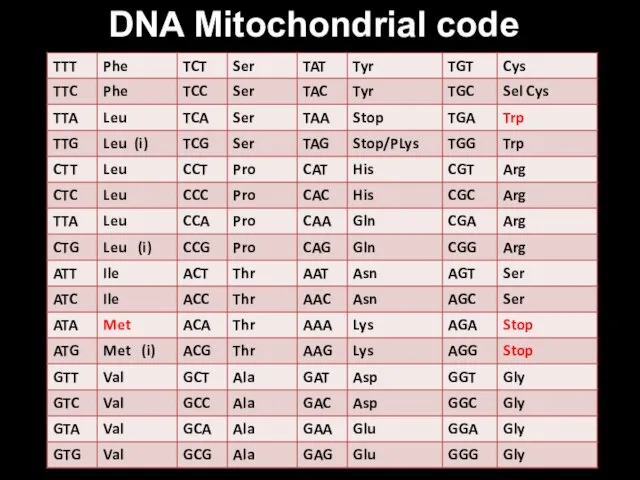 DNA Mitochondrial code