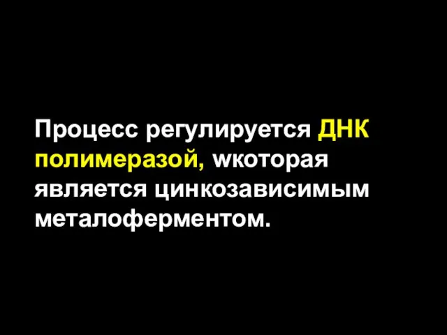 Процесс регулируется ДНК полимеразой, wкоторая является цинкозависимым металоферментом.