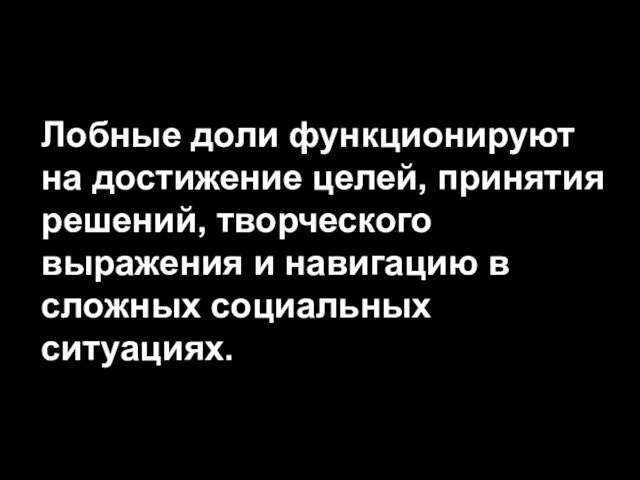 Лобные доли функционируют на достижение целей, принятия решений, творческого выражения и навигацию в сложных социальных ситуациях.