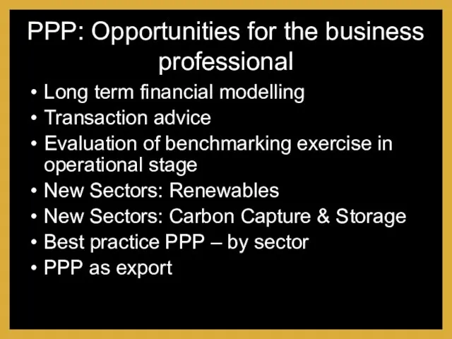 PPP: Opportunities for the business professional Long term financial modelling Transaction advice