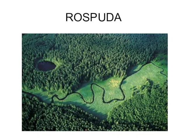 ROSPUDA