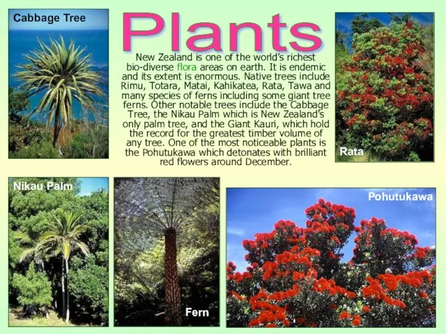 New Zealand is one of the world’s richest bio-diverse flora areas on