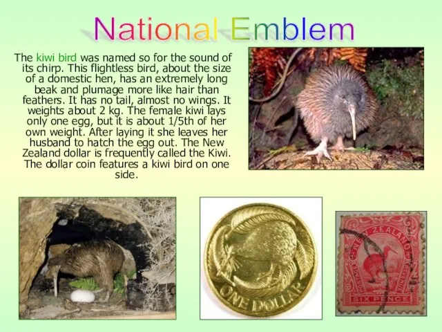The kiwi bird was named so for the sound of its chirp.