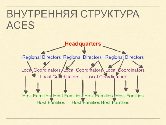 ВНУТРЕННЯЯ СТРУКТУРА ACES Headquarters Regional Directors Regional Directors Regional Directors Local Coordinators