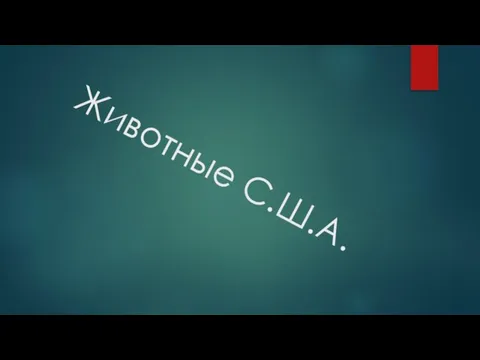 Животные С.Ш.А.