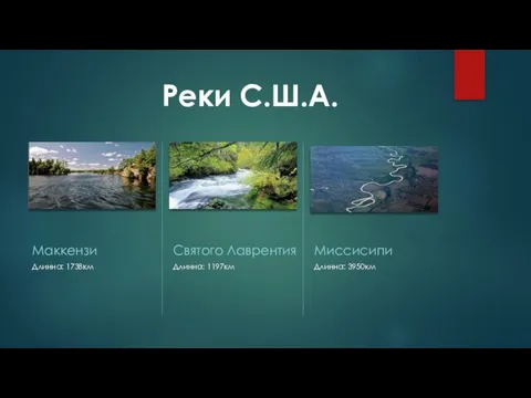 Реки С.Ш.А. Маккензи Святого Лаврентия Миссисипи Длинна: 1738км Длинна: 1197км Длинна: 3950км