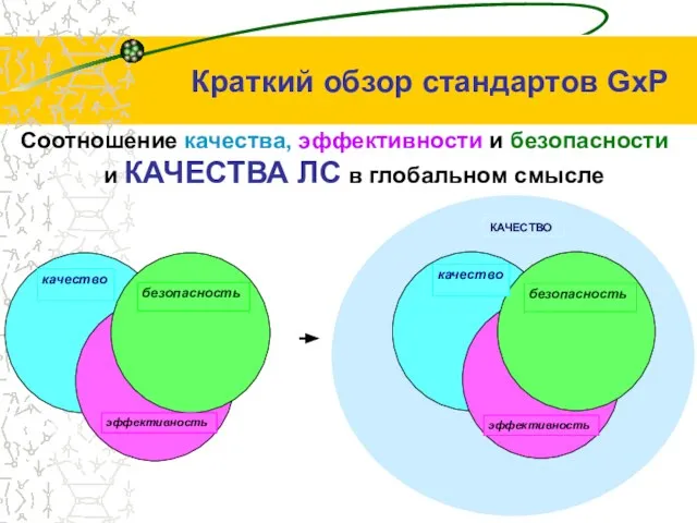 КАЧЕСТВО Соотношение качества, эффективности и безопасности и КАЧЕСТВА ЛС в глобальном смысле