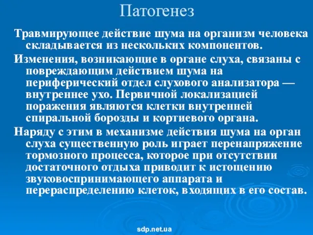 Патогенез Травмирующее действие шума на организм человека складывается из нескольких компонентов. Изменения,