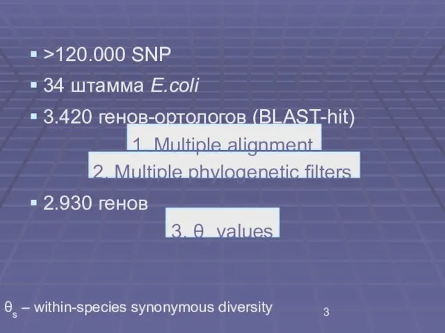 >120.000 SNP 34 штамма E.coli 3.420 генов-ортологов (BLAST-hit) 1. Multiple alignment 2.
