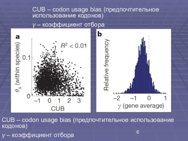 CUB – codon usage bias (предпочтительное использование кодонов) γ – коэффициент отбора